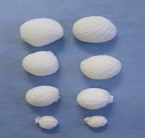 GAZE ESTÉRIL BOLINHA